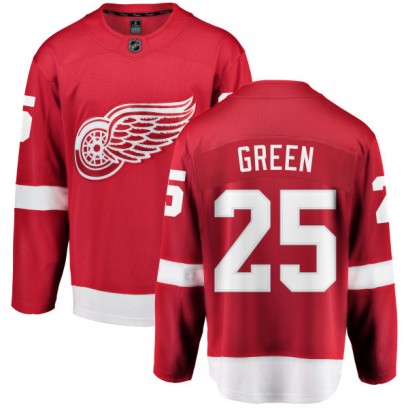 Youth Breakaway Detroit Red Wings Mike Green Fanatics Branded Red Home Jersey - Green