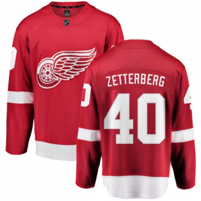 Men's Breakaway Detroit Red Wings Henrik Zetterberg Fanatics Branded Home Jersey - Red