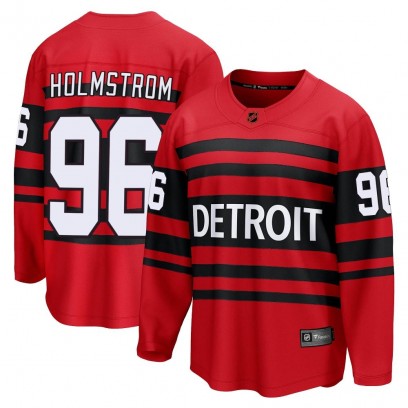 Men's Breakaway Detroit Red Wings Tomas Holmstrom Fanatics Branded Special Edition 2.0 Jersey - Red