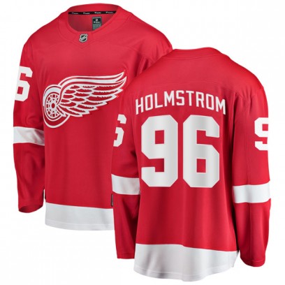 Youth Breakaway Detroit Red Wings Tomas Holmstrom Fanatics Branded Home Jersey - Red
