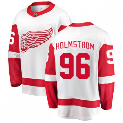 Men's Breakaway Detroit Red Wings Tomas Holmstrom Fanatics Branded Away Jersey - White